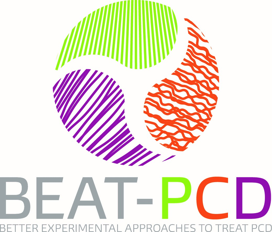 BEAT - PCD