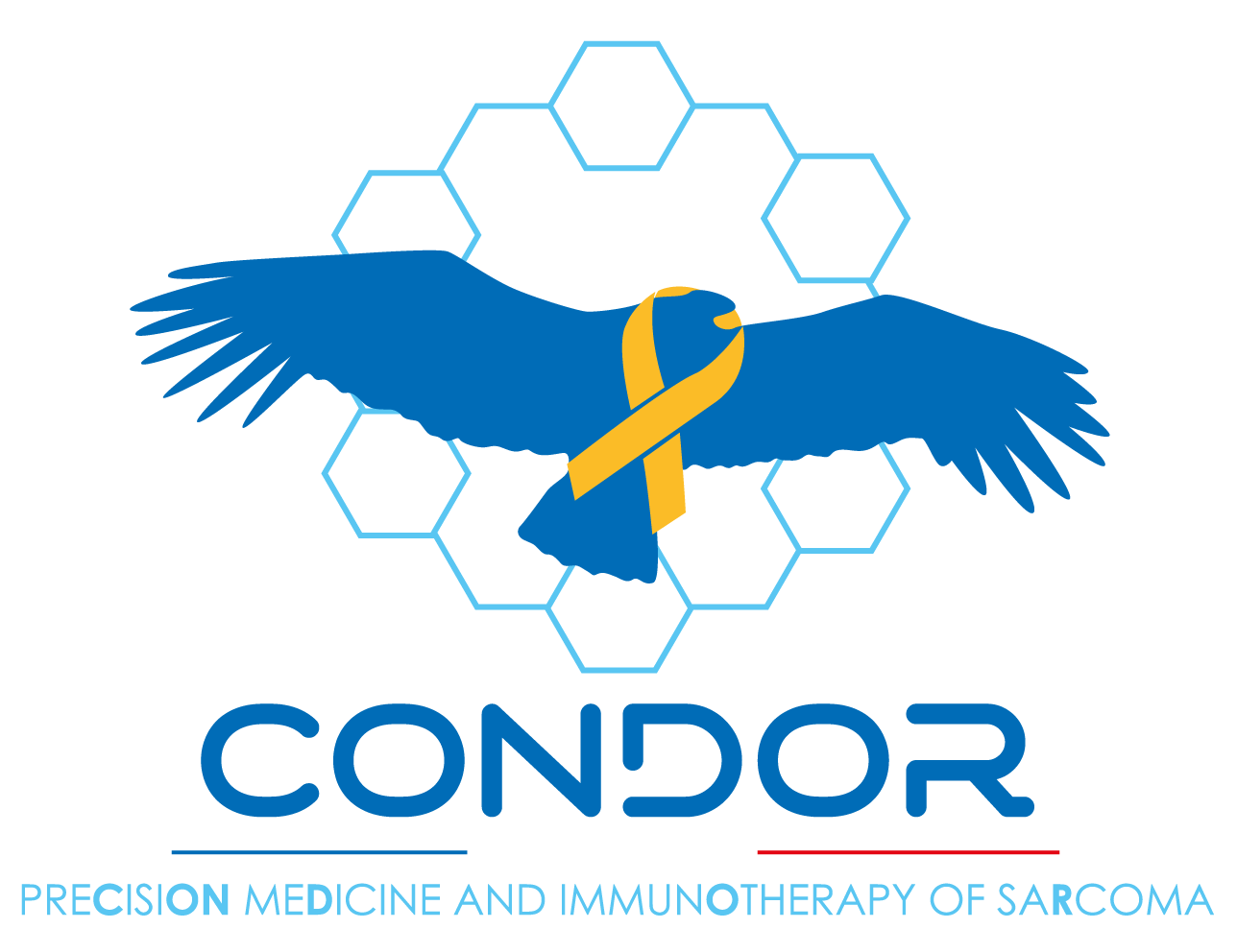 CONDOR