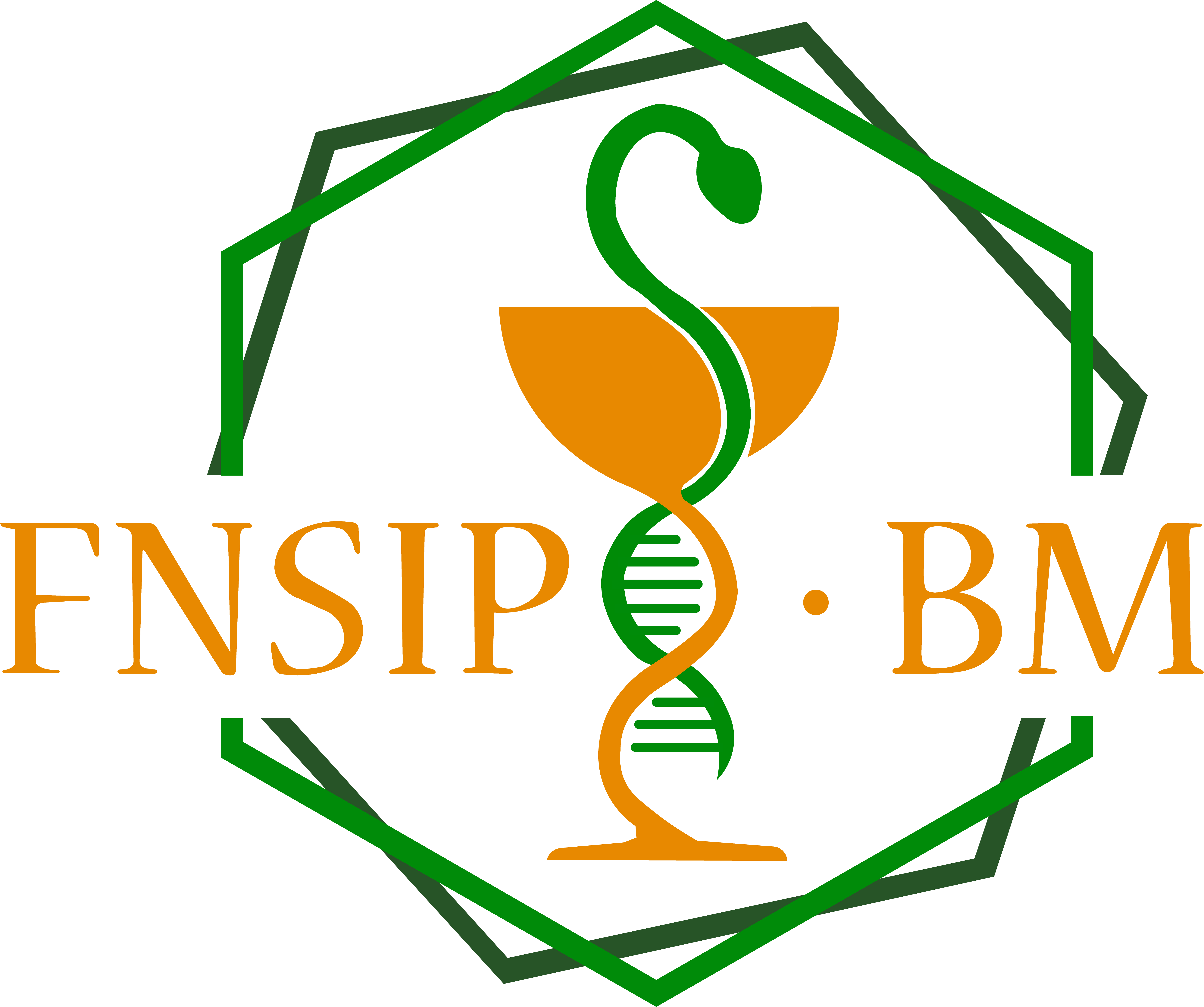 FNSIP-BM